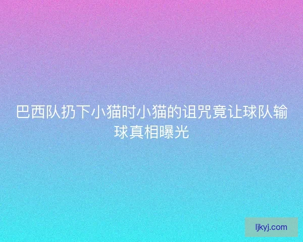 巴西队扔下小猫时小猫的诅咒竟让球队输球真相曝光